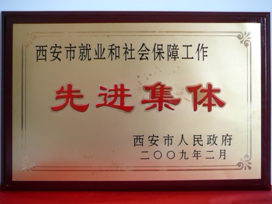 2009年2月，被西安市政府評為西安市就業(yè)和社會保障工作先進集體