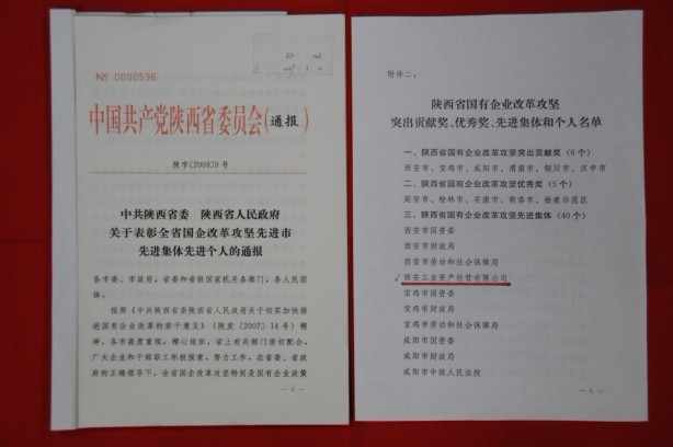 2009年2月，被陜西省委、省政府授予陜西省國有企業(yè)改革攻堅先進集體